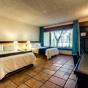 Standard Double Room Two Double Beds Pool View